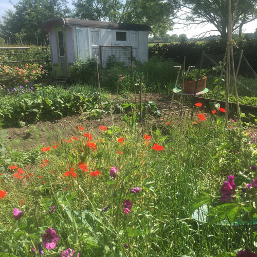 Bloementuin Zoppa